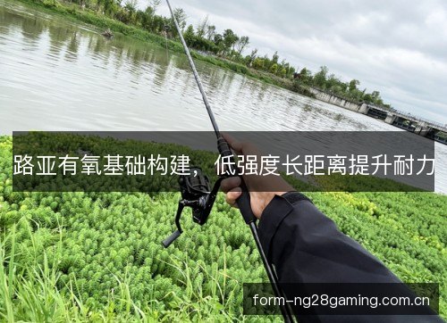 路亚有氧基础构建，低强度长距离提升耐力